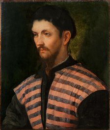 Portrait of a Gentleman, 1543-1544. Creator: Romanino, Gerolamo (1485/6-1566).