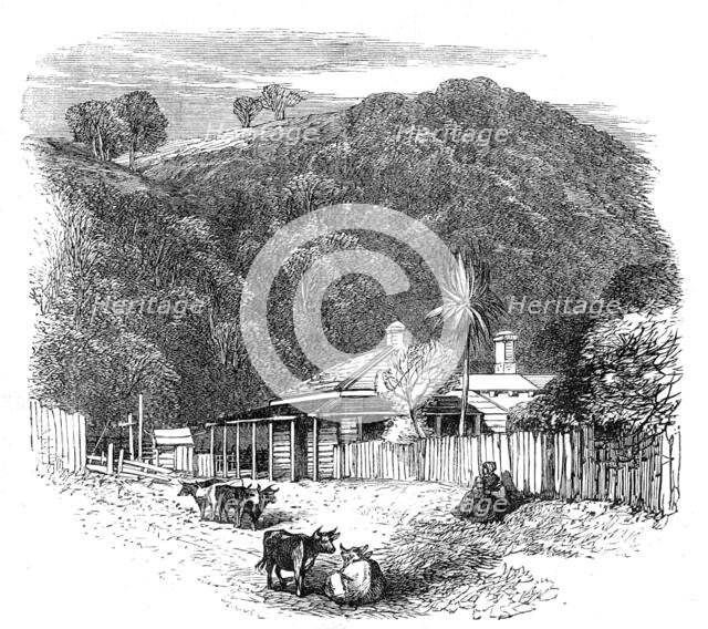 Views at the Seat of the War in New Zealand: settler's house at Waikato, 1864. Creator: Unknown.