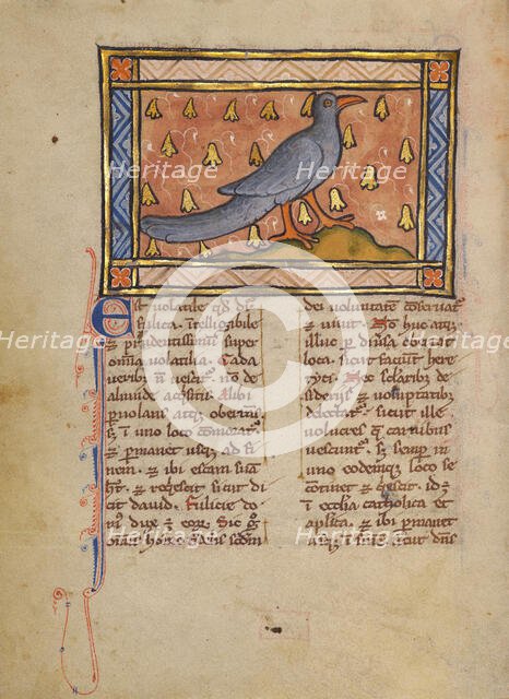 A Coot; Bestiary, about 1270. Creator: Unknown.