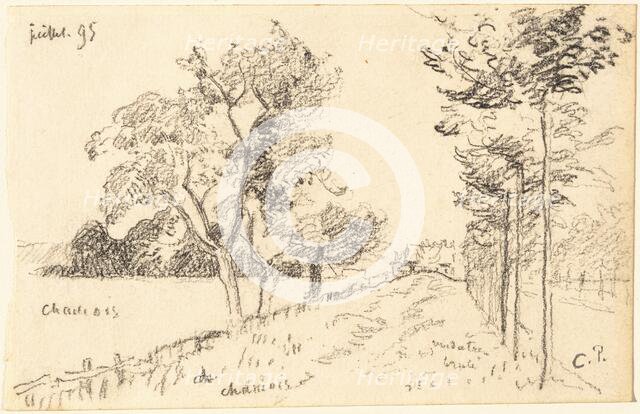 The Driveway, 1895. Creator: Camille Pissarro.