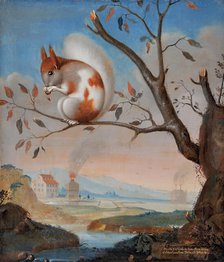 Spotted squirrel at Hogbo mill, 1734. Creator: J.A. Weise.