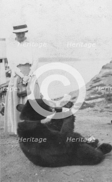 Bear drinking from bottle, between c1900 and 1916. Creator: Unknown.