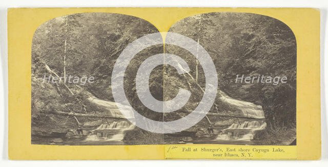 Fall at Shurger's, East shore Cayuga Lake, near Ithaca, N.Y., 1860/65. Creator: J. C. Burritt.