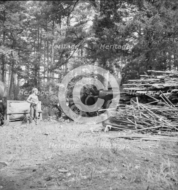 Possibly: Young son of tenant farmer gathering sticks..., Granville County, North Carolina, 1939. Creator: Dorothea Lange.