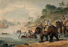 Tiger hunting in India: men riding elephants shoot at a tiger that tries to escape by..., 1800-1809. Creator: Samuel Howitt.