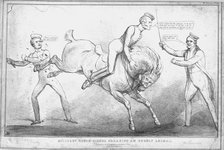 'Military Rough-Riders Breaking an Unruly Animal', 1833. Creator: John Doyle.