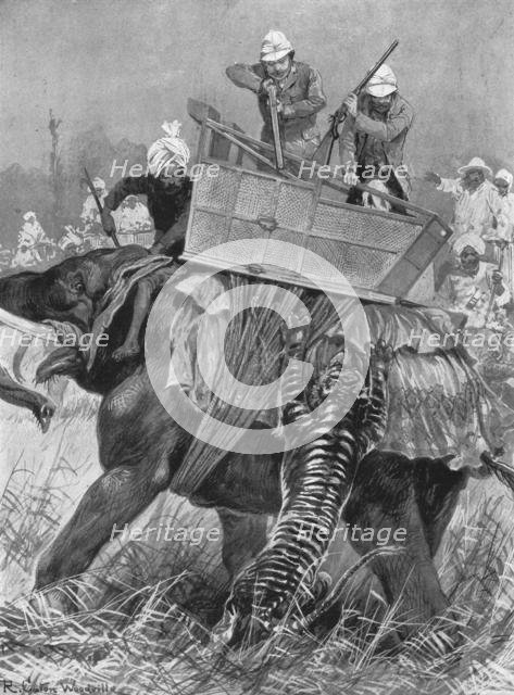 'The Visit of the Prince of Wales to India, 1876: The Prince's Elephant charged by a Tiger', (1901). Creator: Unknown.