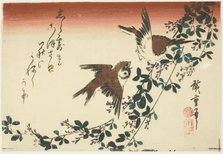 Sparrows and bush clover, 1830s. Creator: Ando Hiroshige.