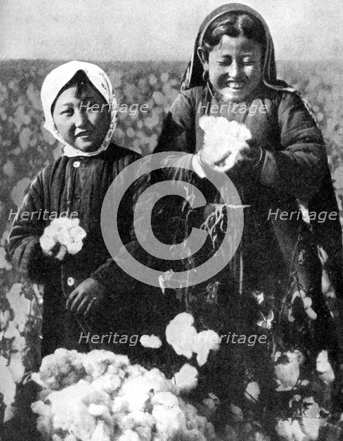 Girls in a cotton field, Kazakhstan, 1936. Artist: Unknown