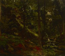 Stream in the Woods, 19th century. Creator: Adolf Dressler.