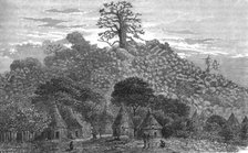 ''The Baobab Tree of Kouroundingkoto; Journey from the Senegal to the Niger', 1875. Creator: Unknown.