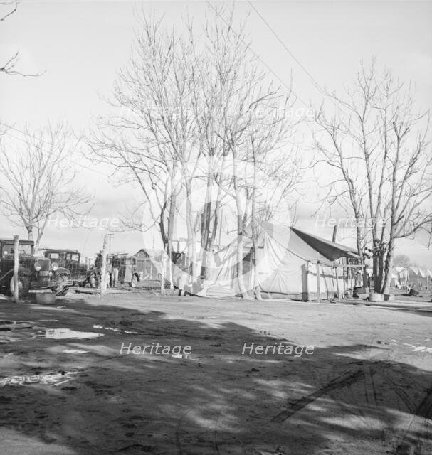 Migrants' winter quarters, Farmersville, Tulare County, 1939. Creator: Dorothea Lange.