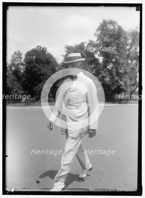 Senator Charles E. Townsend, between 1913 and 1918. Creator: Harris & Ewing.
