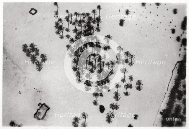 Aerial view of palm shadows in the Arabian desert, from a Zeppelin, 1931 (1933). Artist: Unknown