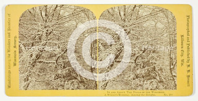 A Winter's Morning. Among the Boughs, 1870/1908. Creator: Henry Hamilton Bennett.