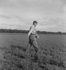 Tenant farmer spreading grasshopper bait..., 5 miles from Oklahoma City, Oklahoma, 1937. Creator: Dorothea Lange.