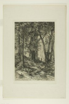 A California Forest, 1888. Creators: Mary Nimmo, Thomas Moran.