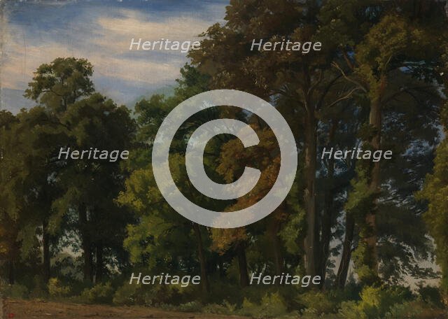 Landscape in Germany, Study, 1854. Creator: Werner Holmberg.