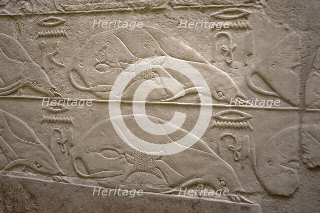 Tied cows relief, Mastaba of Kagemni, Saqqara, Egypt, Old Kingdom, 6th Dynasty, 2350 BC (2003). Creator: Unknown.