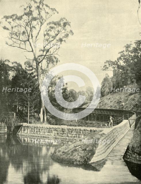 'The Weir and Fluming, Kirk's Reservoir', 1901. Creator: Unknown.