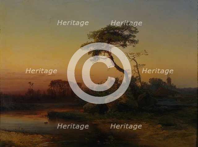 Landscape with Pine tree.