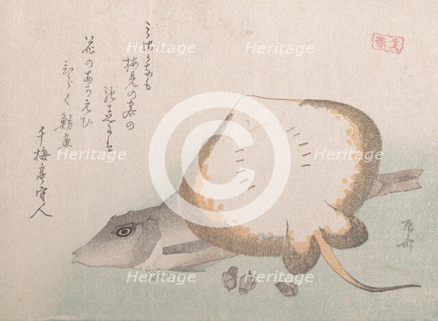 Stingray and Gurnard, probably 1815., probably 1815. Creator: Shinsai.