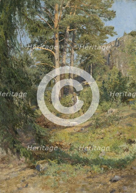 Pine Forest Skutudden, 1887. Creator: Carl Ludwig Trägardh.