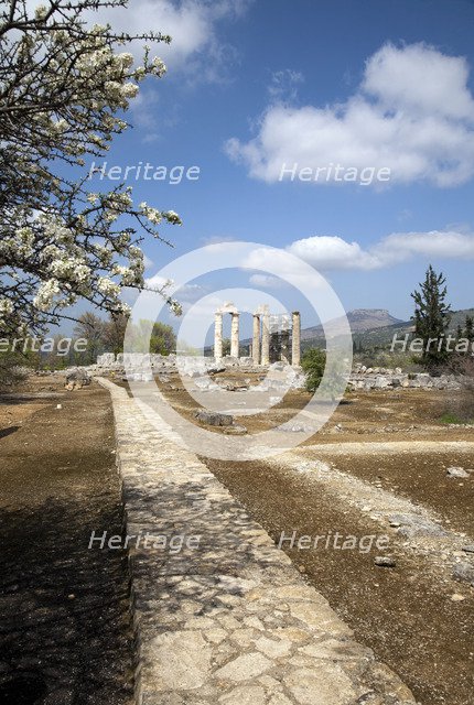 The Temple of Zeus at Nemea, Greece. Artist: Samuel Magal