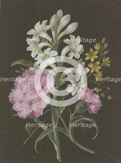 Arrangement of tuberose (Polyanthes), pink carnation (Dianthus), and a yellow flower with a fly.. Creator: Barbara Regina Dietzsch circle.