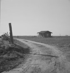 On the plains west of Fresno, California, 1939. Creator: Dorothea Lange.