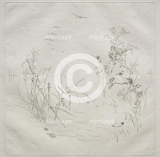 Parisian Service (Haviland service): Calm (no. 3), 1875. Creator: Félix Bracquemond (French, 1833-1914).