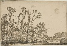 Landscape with Trees, Pond and Sheep, 1621. Creator: Willem Pietersz. Buytewech.