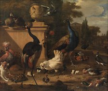 Hen Run at a Manor, c1675-1680. Creator: Hondecoeter, Melchior de (1636-1695).