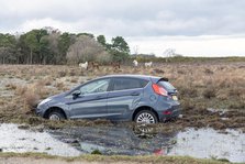 Ford Fiesta accident in New Forest, 2020. Creator: Tim Woodcock.