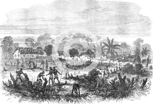 The Ashantee War: the battle-field of Abrakrampa - from a sketch by our special artist, 1874. Creator: Unknown.