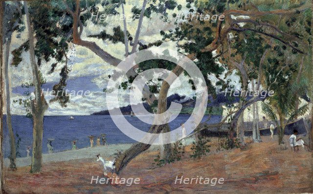 At the seashore, Martinique.