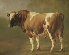 Study of a Bull, 1830-1867. Creator: Jacques-Raymond Brascassat.