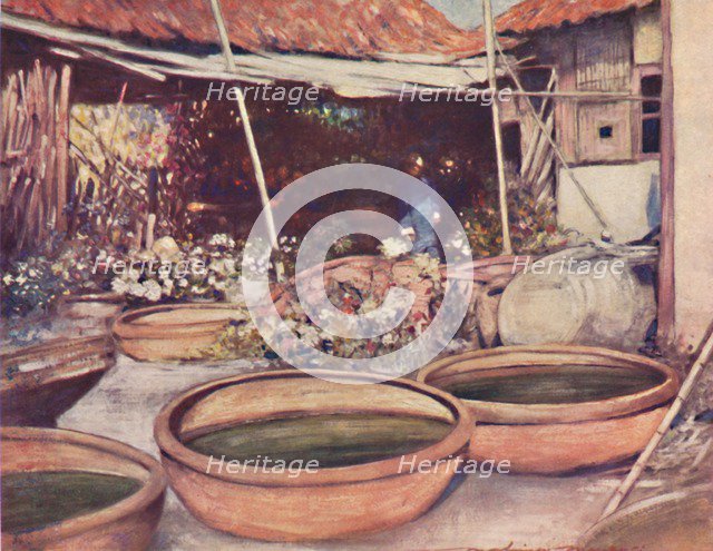 'Nursery Garden', 1903. Artist: Mortimer L Menpes.