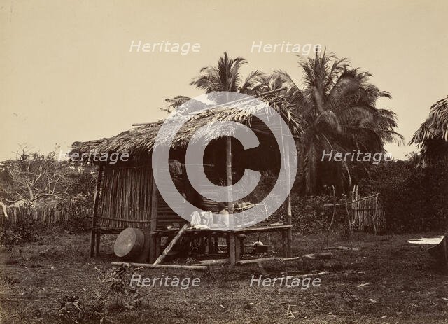 Tropical Scenery, Native Hut, Turbo, 1871. Creator: John Moran.