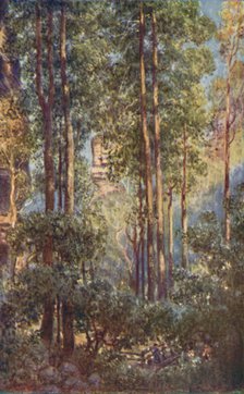 'A Bush Valley in New South Wales', 1923. Creator: Unknown.