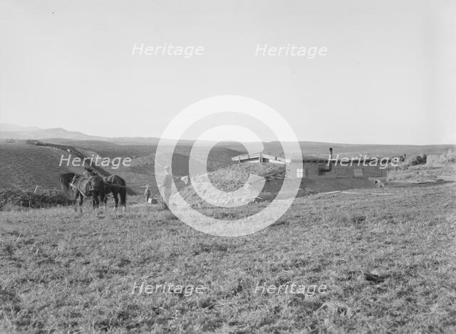 The Daugherty home, Warm Springs district, Malheur County, Oregon, 1939. Creator: Dorothea Lange.