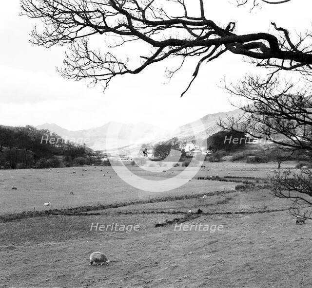 Snowdon from Capel Curig, Snowdonia, Wales, c1955. Creator: Arthur Charles Kirby Ware.