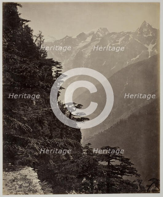 Untitled [hillside and mountains], c. 1865. Creator: Samuel Bourne.