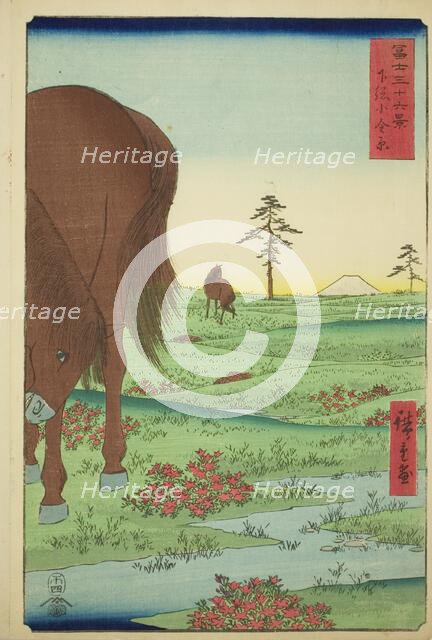 Kogane Plain in Shimosa Province (Shimosa Koganehara), from the series "Thirty-six..., 1858. Creator: Ando Hiroshige.