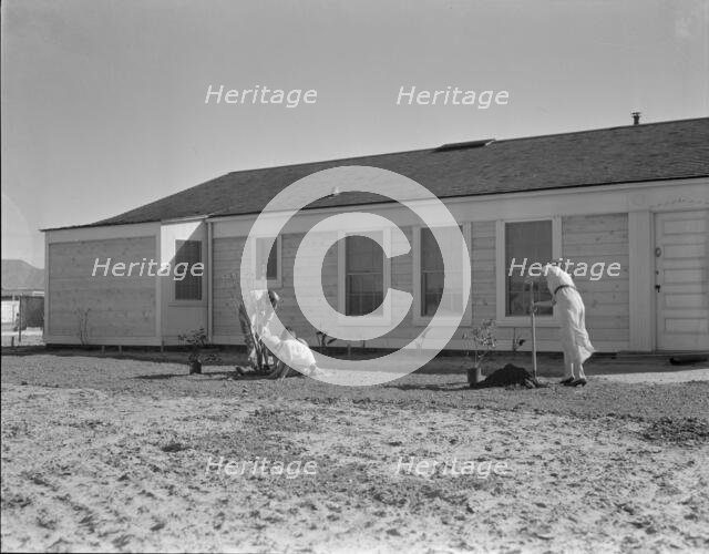 San Fernando federal subsistence homesteads, California, 1936. Creator: Dorothea Lange.