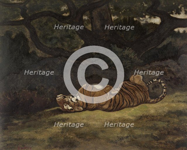 Tiger Rolling, c1850-1869. Creator: Antoine-Louis Barye.