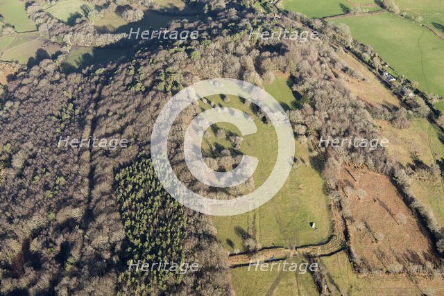 Lambert's Castle, an Iron Age hillfort with a bowl barrow, Dorset, 2019. Creator: Damian Grady.