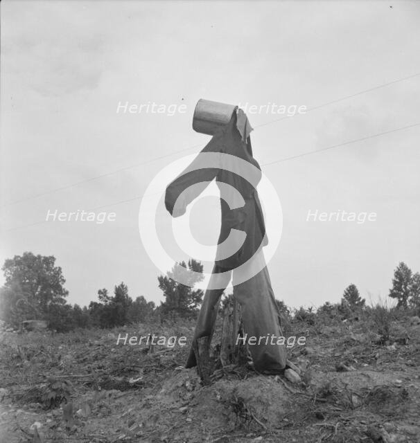 Possibly: Scarecrow on a newly cleared field with stumps near Roxboro, North Carolina, 1939. Creator: Dorothea Lange.