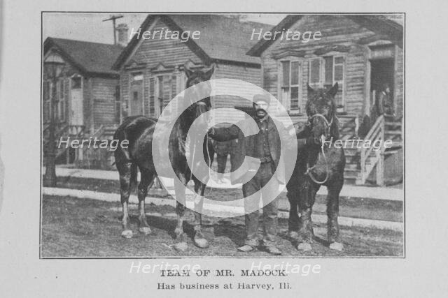 Team of Mr. Madock; Has business at Harvey, Ill., 1907. Creator: Unknown.