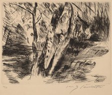 Birkenstämme im Tiergarten (Birch Trees in the Tiergarten), 1920-1921. Creator: Lovis Corinth.